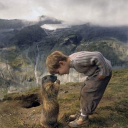 Le basi dell’accompagnamento empatico alla fine della vita: un viaggio nella relazione con il nostro animale