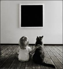 Cuccioli dai paesi dell’est: il profitto prima di tutto.