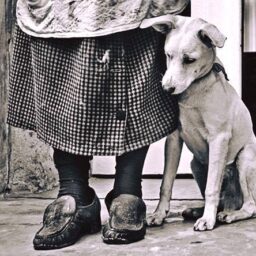 Speranza, accanimento e accettazione nella morte naturale